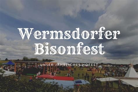 Bisonfest in Wermsdorf: am 6./.7. Juli 2024 den Tieren ganz nahe .